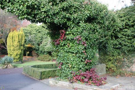 Autumn in Swindon 2008